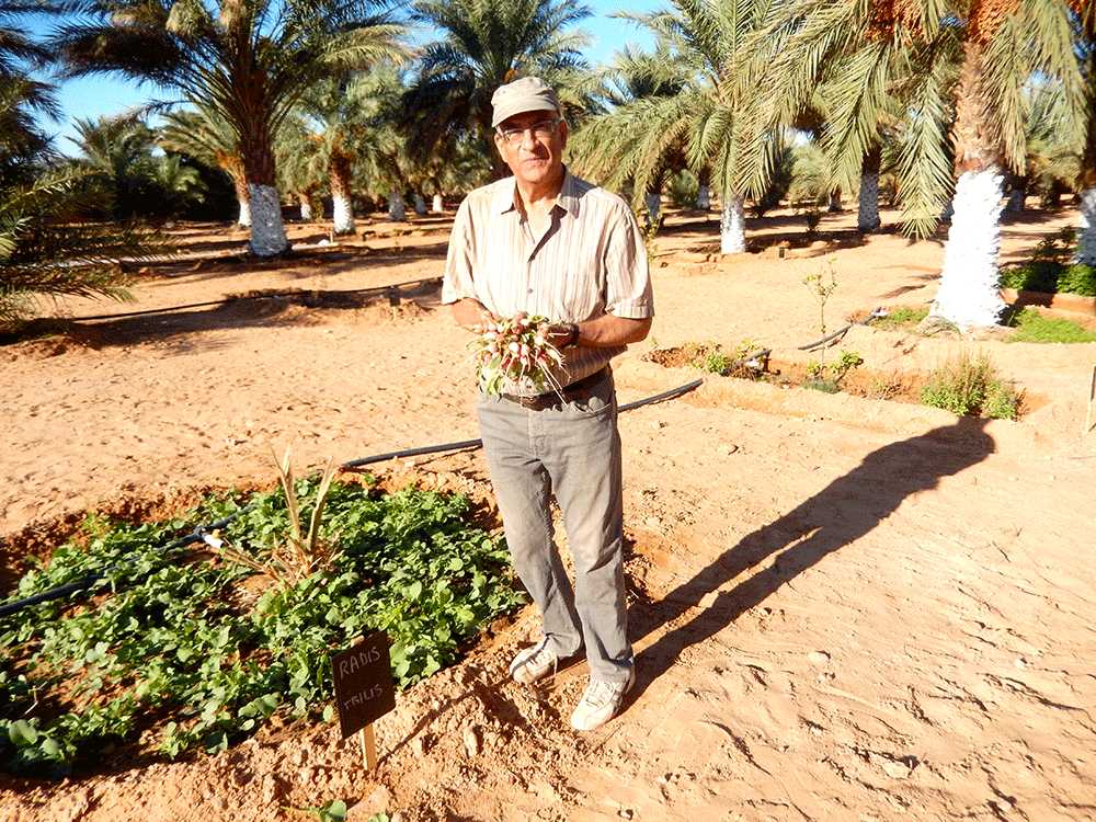 Dr Mohamed Bouchentouf : au service de l’agriculture oasienne