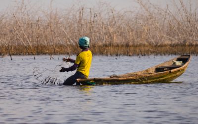 Le lac Tchad disparaît-il?